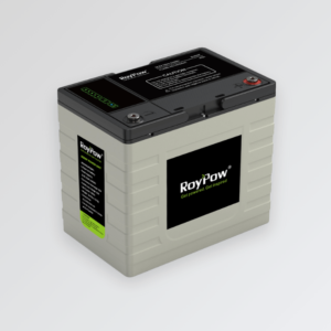 Bateria de Lítio RoyPow LiFePO4 – 12V 50AH 6,7kg