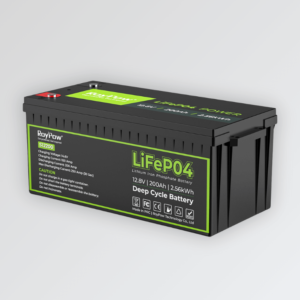 Bateria de Lítio RoyPow LiFePO4 12V 200AH